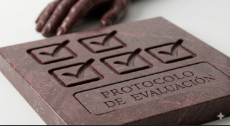 Protocolo de Evaluación